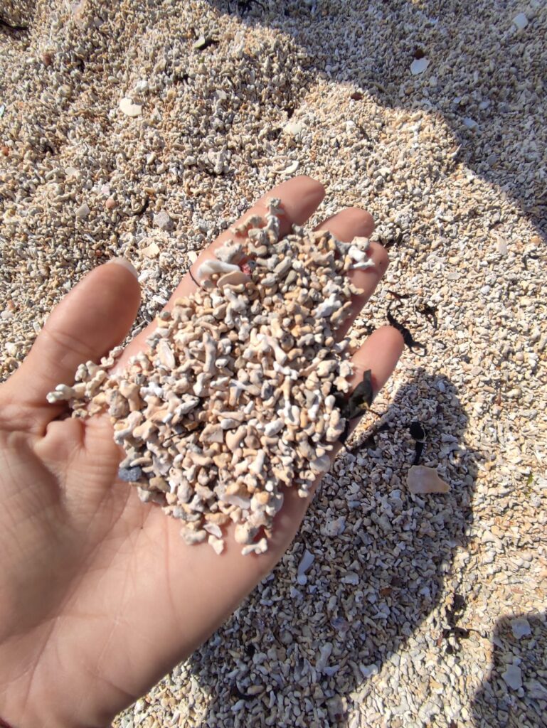 La Coral Strand (o Trá an Dóilín in irlandese) è una spettacolare spiaggia situata nel Connemara, nella Contea di Galway, famosa per essere composta non da sabbia comune, ma da resti di alghe coralline bianche e rosate