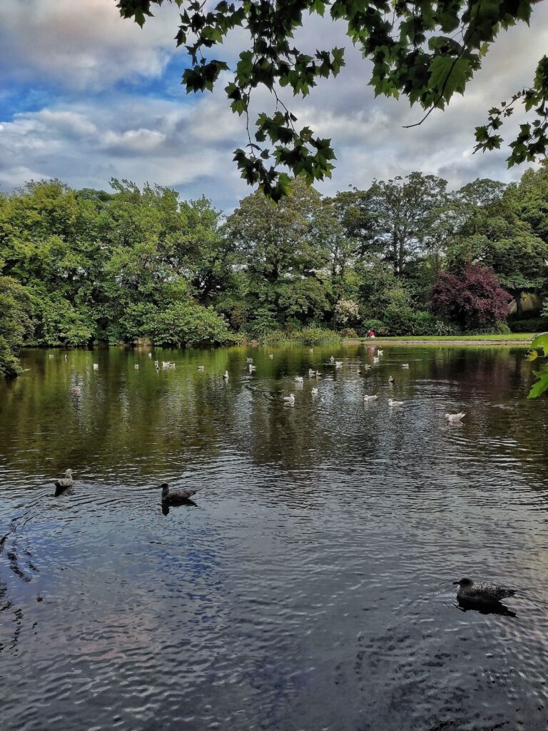 rinomato parco pubblico in stile vittoriano situato nel cuore di Dublino, Irlanda,
